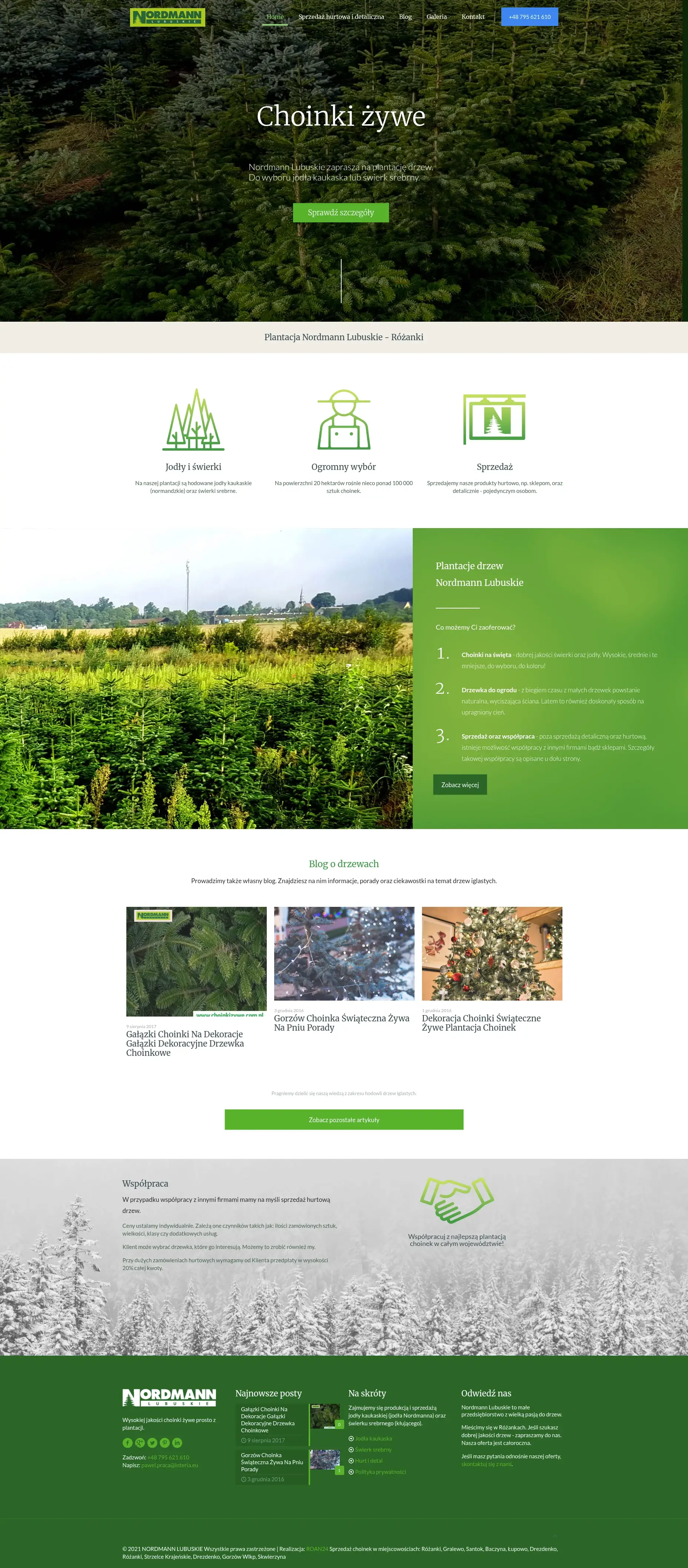Screenshot strony internetowej Plantacji Nordmann Lubuskie - specjalistyczna strona hodowcy choinki żywej z Różanek oferującej świerki, jodły oraz drzewka do ogrodu w sprzedaży detalicznej i hurtowej